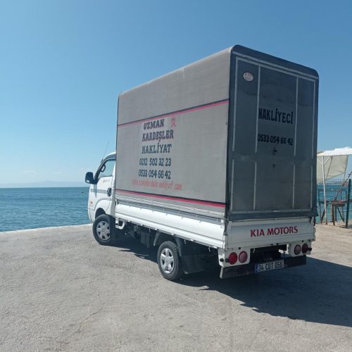 Kamyonetçi, parça eşyaları dikkatle taşırken.